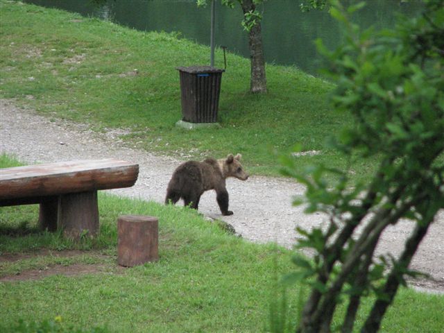 Nationalpark Risnjak 15